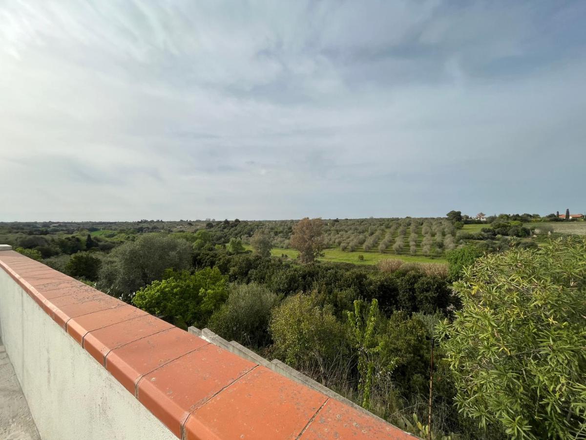Апартаменты La Valle Incantata - Immerso Nel Verde A 10 Minuti Dal Mare Сассари Экстерьер фото